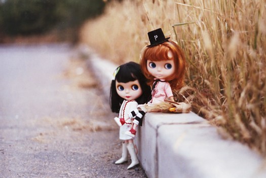 428170169_371aaffff4_o