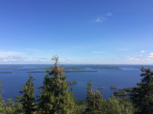 Koli.jpg